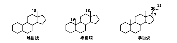 pagenumber_ebook=411,pagenumber_book=393