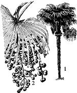 pagenumber_ebook=120,pagenumber_book=120