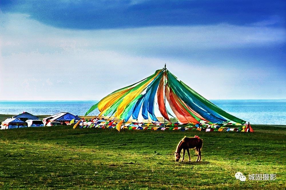 9 9.jpg?v=1765879816335