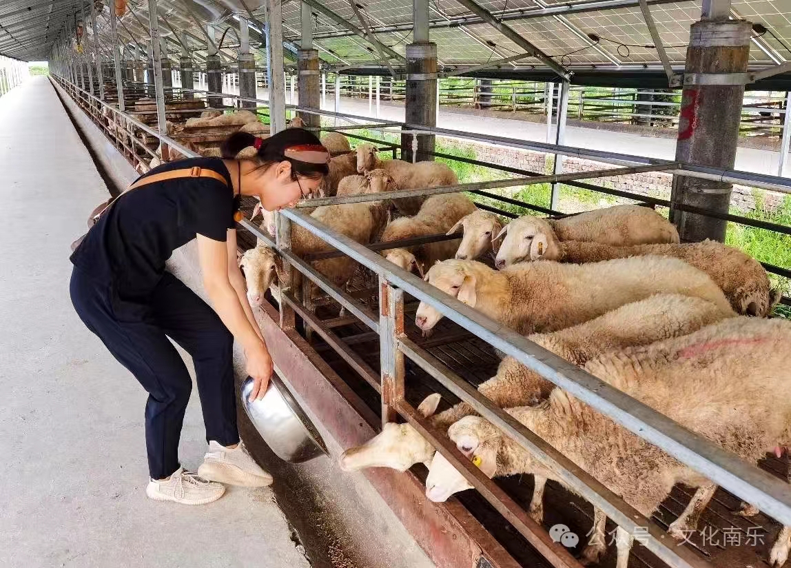 微信图片_20240717090558 微信图片_20240717090558.jpg