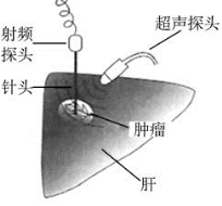 pagenumber_ebook=290,pagenumber_book=275