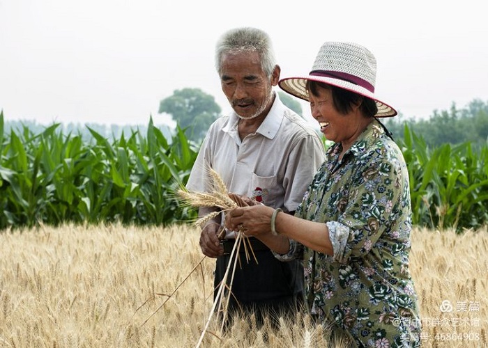 微信图片_20201016152156