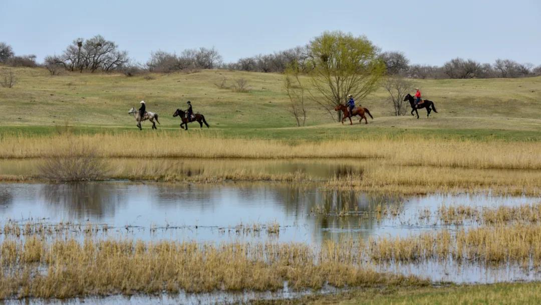 微信图片_20210508151640 微信图片_20210508151640.jpg