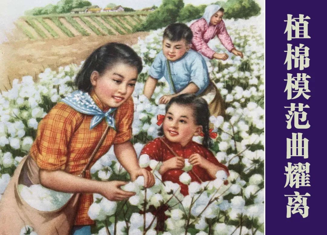 红色故事绘——“四史”上的今天|今日推荐《植棉模范曲耀离》