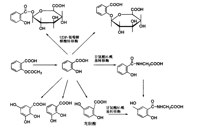 pagenumber_ebook=479,pagenumber_book=461