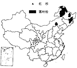 分布图5红杉、落叶松分布图