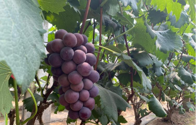 cded2874af8955468bbb51c09379c15 cded2874af8955468bbb51c09379c15.png