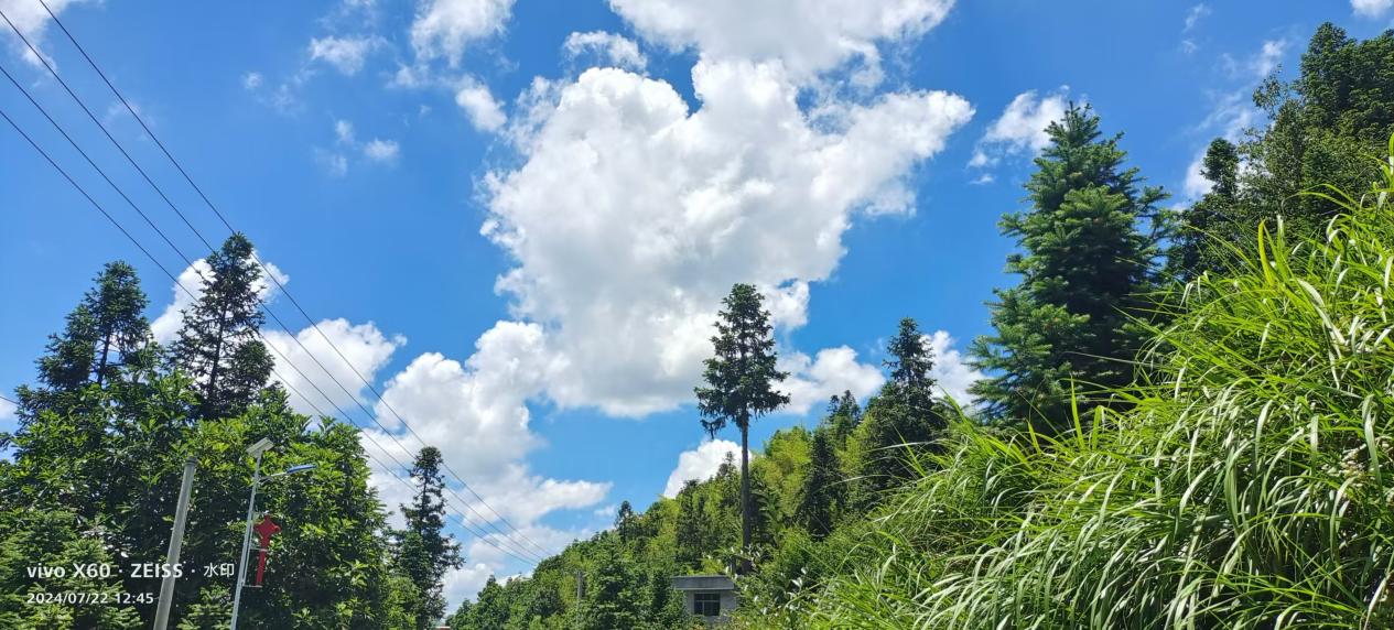 image14 image14.jpeg