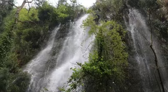 c7901a3bf7c0e8c3e62f340d4f84118