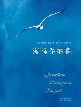 image image.png?v=1770174537580