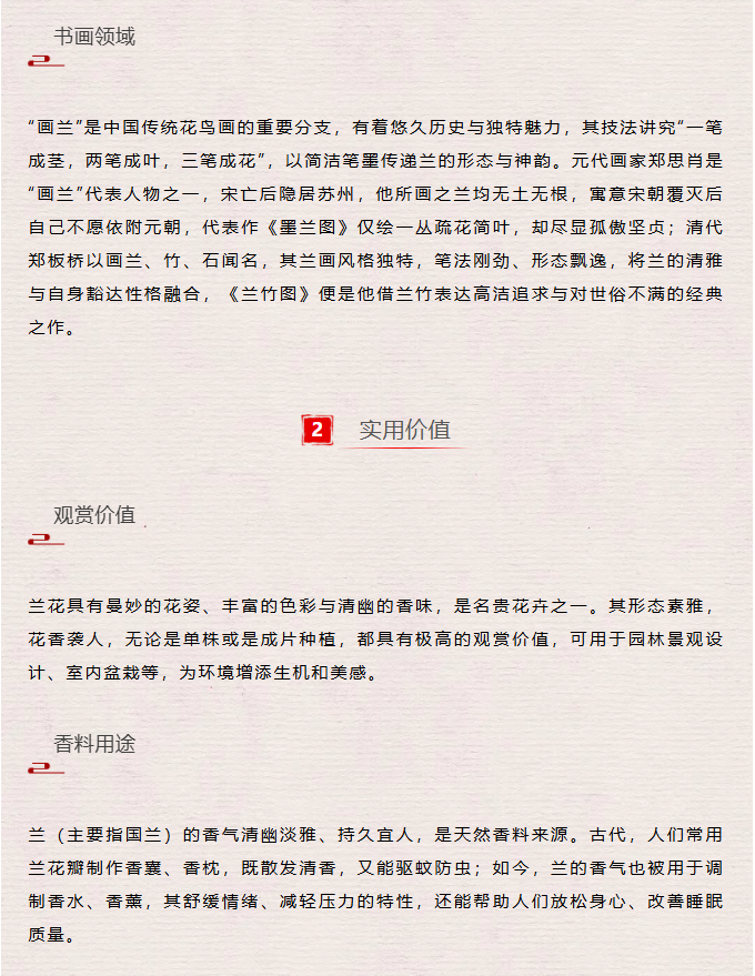 image.png?v=1762124792502