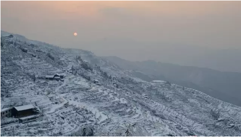 微信图片_20200506140800