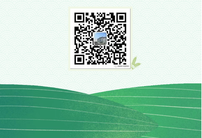 image.png?v=1751563702893
