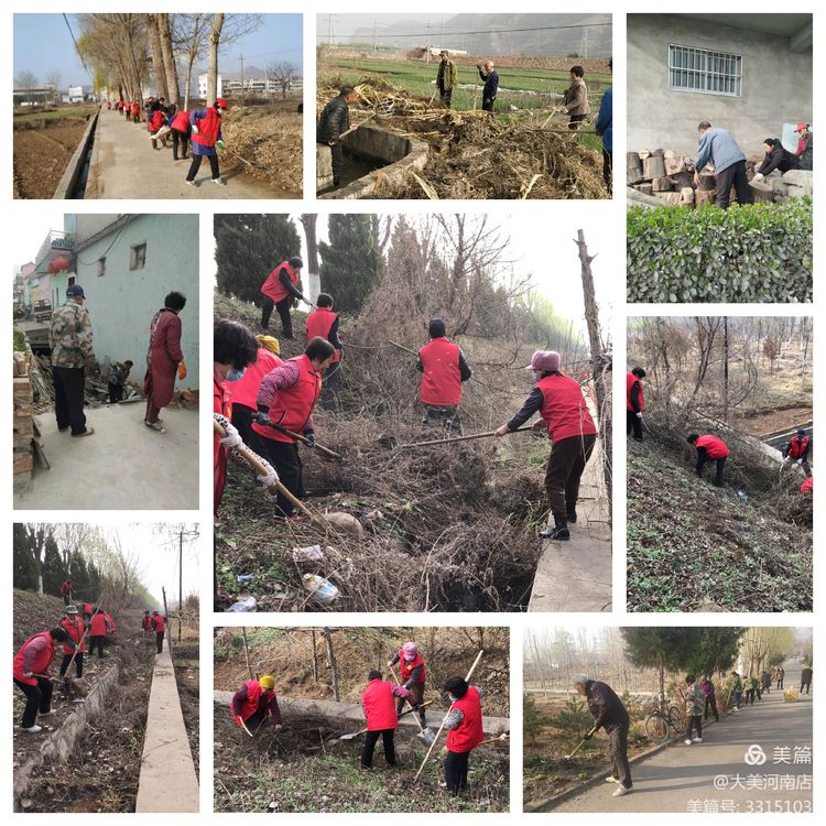 清理杂草、杂物 清理杂草、杂物.jpg