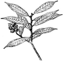 pagenumber_ebook=161,pagenumber_book=161