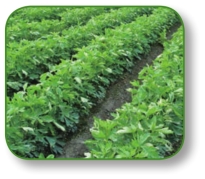 pagenumber_ebook=127,pagenumber_book=114