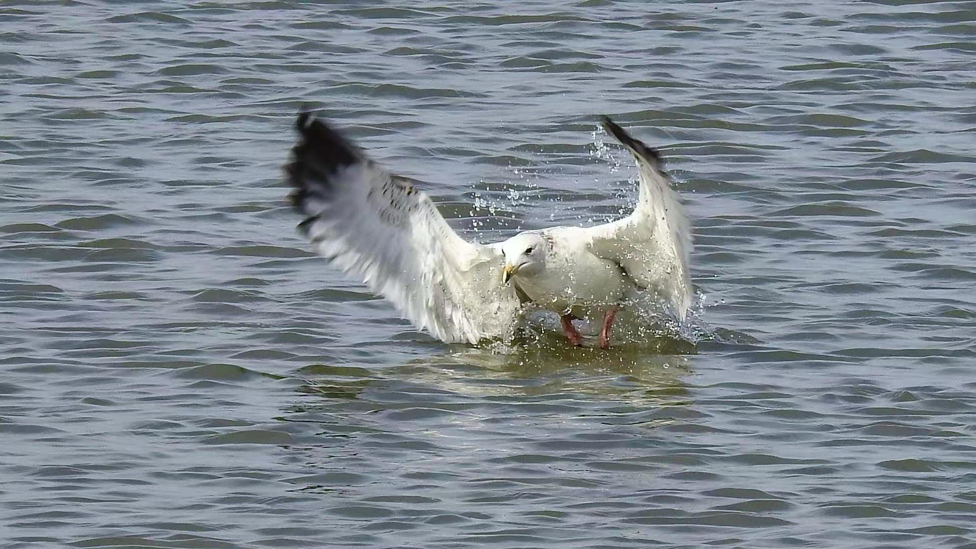 afa5c04dbb98561e2fdab4e27bfe9a8 afa5c04dbb98561e2fdab4e27bfe9a8.jpg