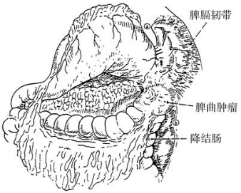 pagenumber_ebook=100,pagenumber_book=85