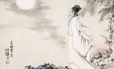 image image.png?v=1770174975875