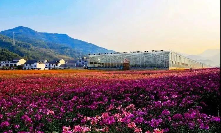 微信图片_20201008213758 微信图片_20201008213758.jpg