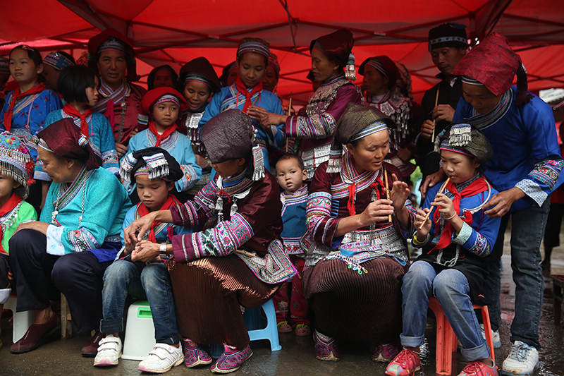 壮族虫茧巴乌进校园