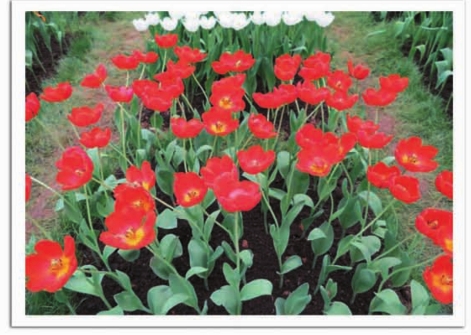 pagenumber_ebook=76,pagenumber_book=60