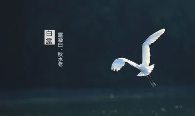 image image.png?v=1770174984872