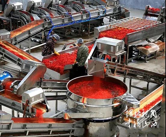 13《科技架起致富桥》曹建华