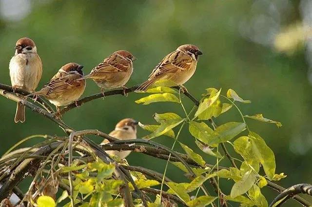 11 11.jpg?v=1762323976584