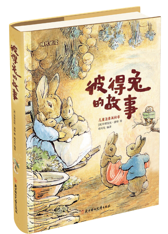 7 7.png?v=1770987879224