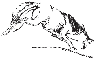 pagenumber_ebook=140,pagenumber_book=132