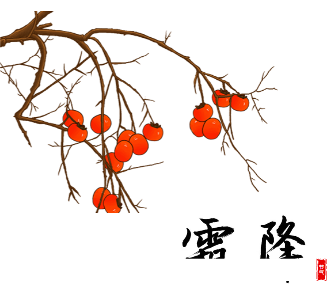 image.png?v=1750226782663