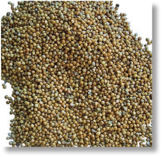 pagenumber_ebook=151,pagenumber_book=138