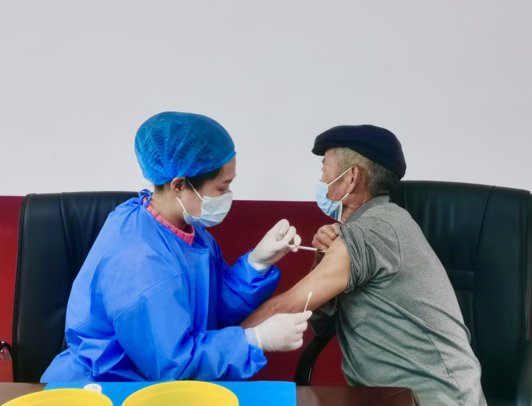 1 1.png?v=1765843138051