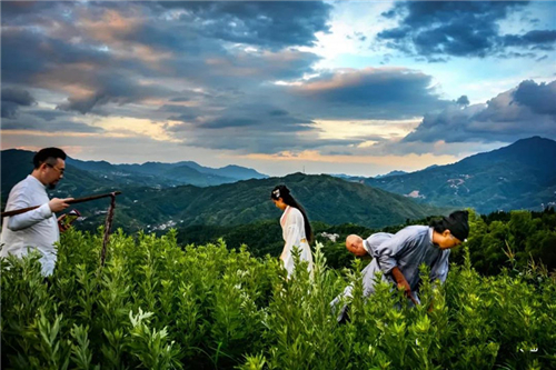 微信图片_20200617214819 微信图片_20200617214819.jpg