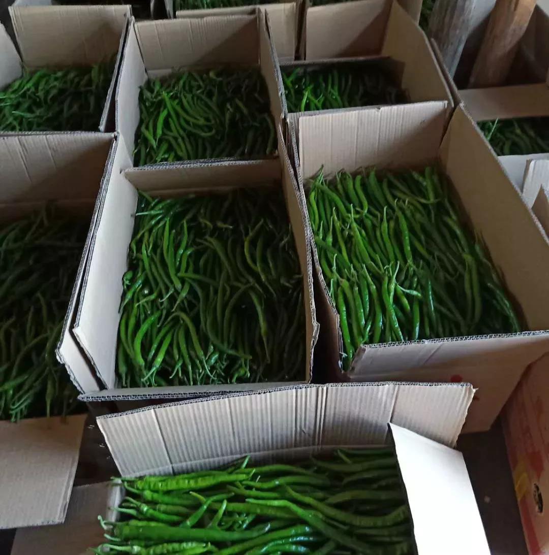 微信图片_20200712020519 微信图片_20200712020519.jpg