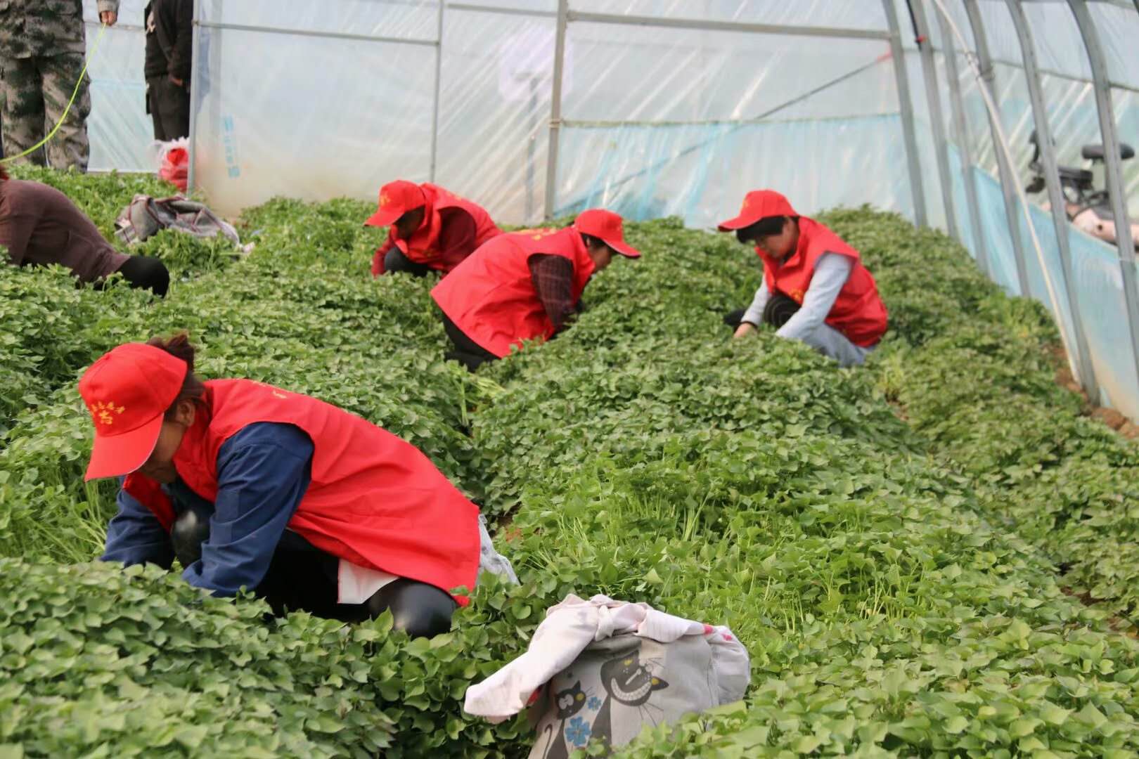 微信图片_20201209101655