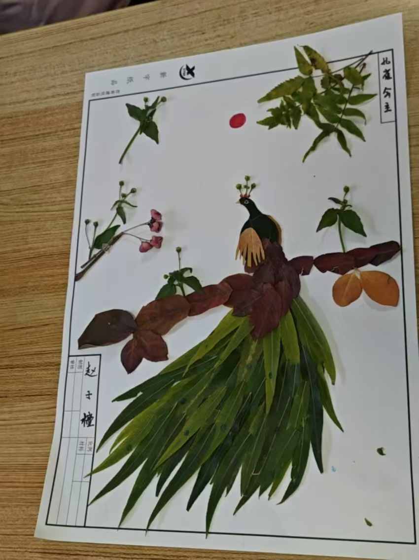 6dda4341207e58a75761663499610c6 6dda4341207e58a75761663499610c6.jpg?v=1762228718002