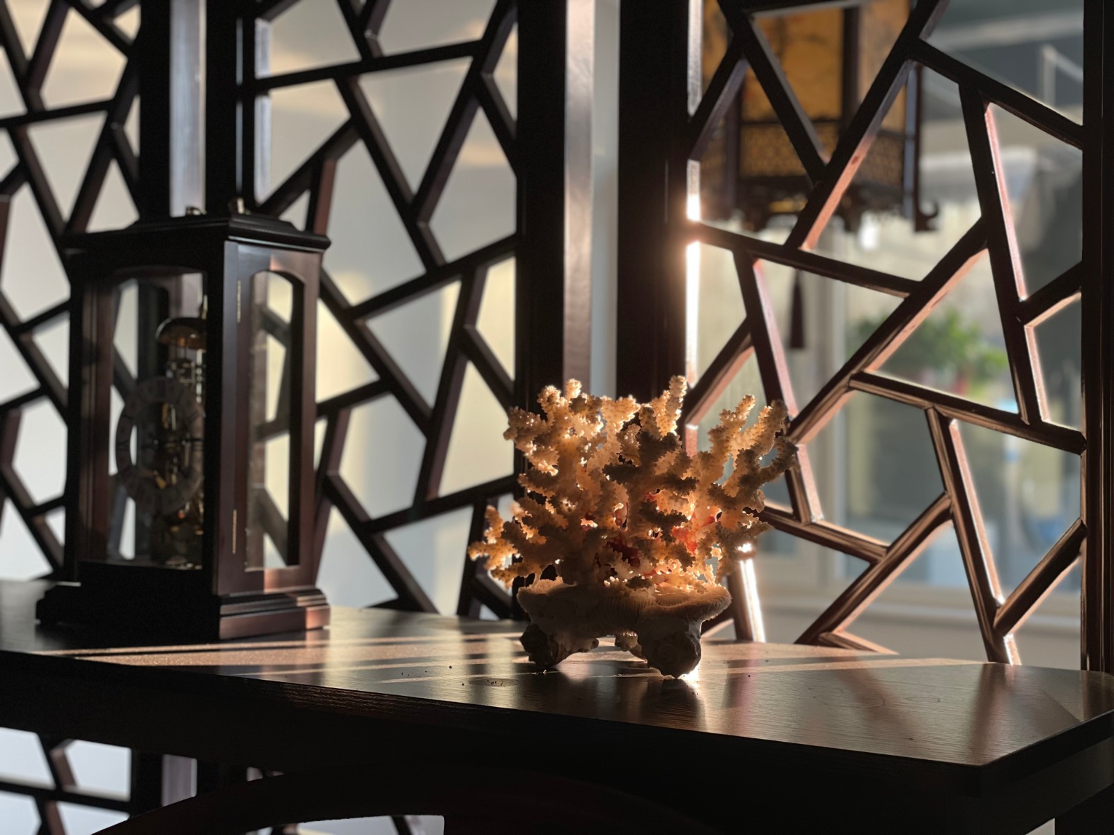 家•印象1 魏永娜