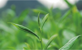 pagenumber_ebook=7,pagenumber_book=8