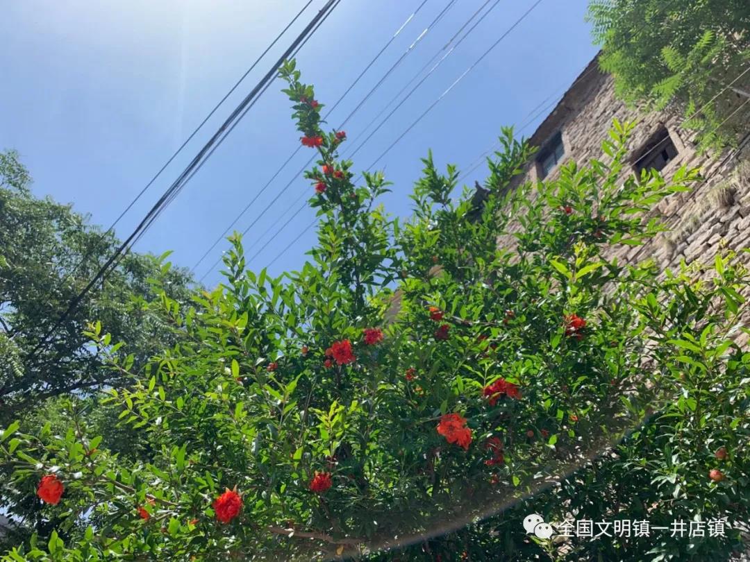 微信图片_20210624085522