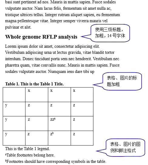 t3.jpg?v=1747934739581
