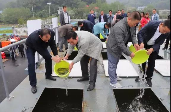 微信图片_20200712125504 微信图片_20200712125504.jpg