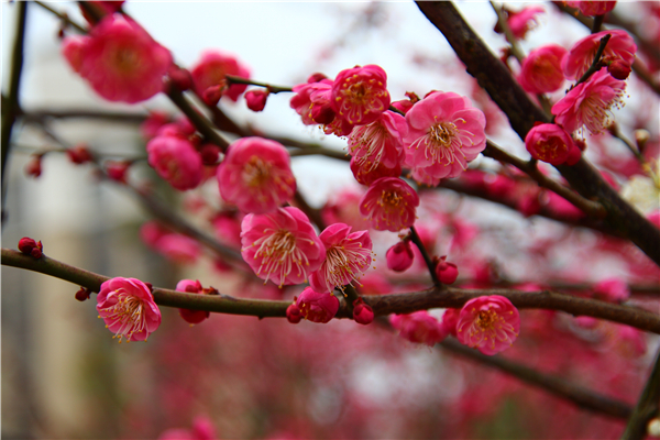 IMG_5760 IMG_5760.jpg