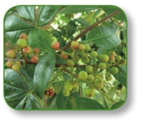 pagenumber_ebook=133,pagenumber_book=120