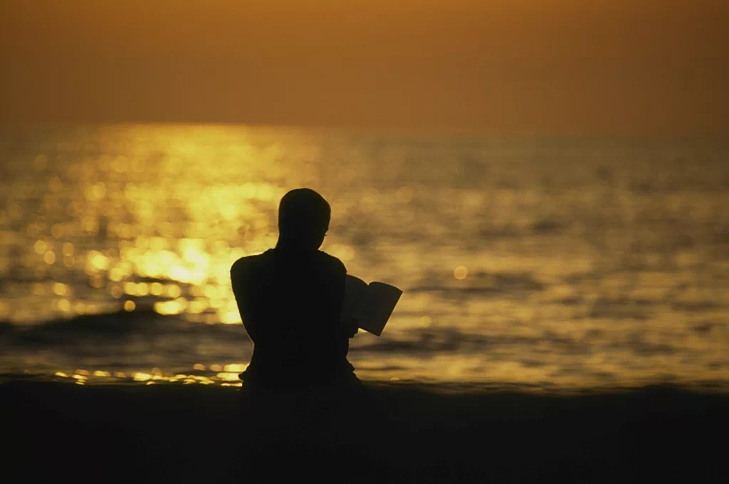 IMG_2793(20200622-095833) IMG_2793(20200622-095833).jpg?v=1765790985880