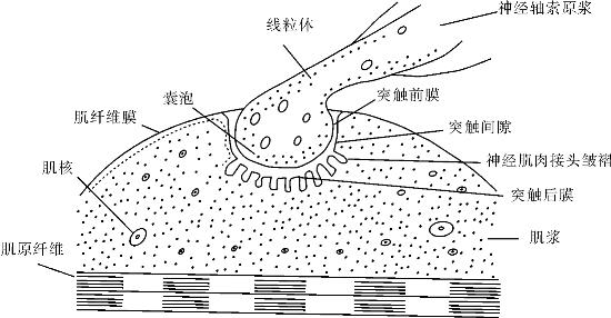pagenumber_ebook=44,pagenumber_book=44