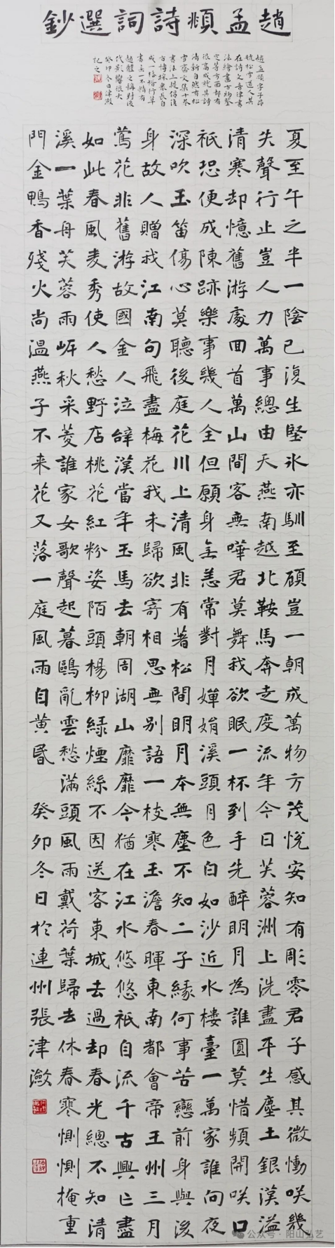 19 19.jpg?v=1772870153787