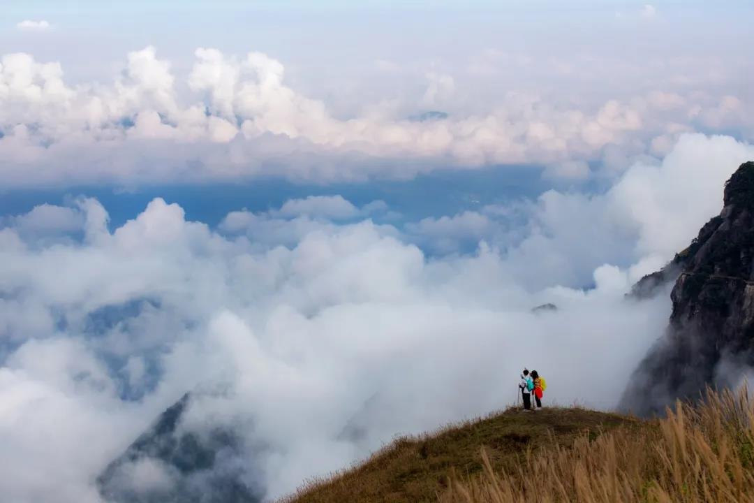 微信图片_20201022220053 微信图片_20201022220053.jpg