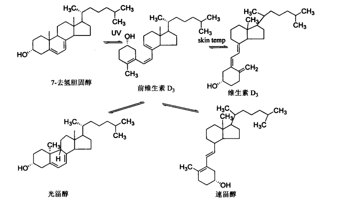 pagenumber_ebook=521,pagenumber_book=503